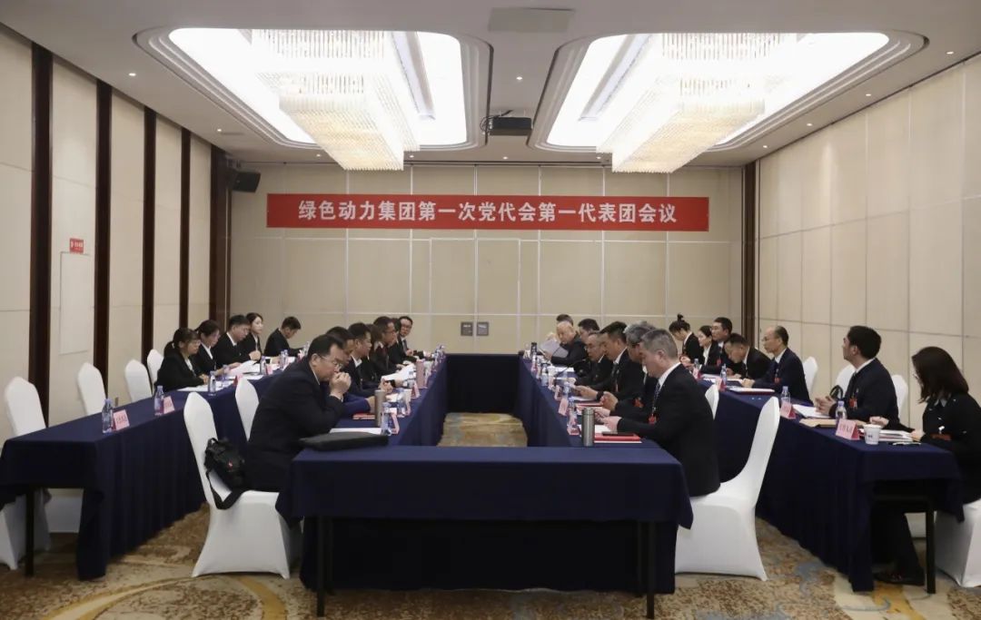 铭刻使命再出发，，，，，，，，代表热议“两委”报告