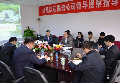 国资公司纪委向导到集团视察