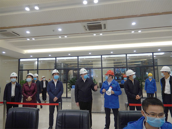 广西壮族自治区人大常委会副主任张秀隆视察非凡娱乐博白项目